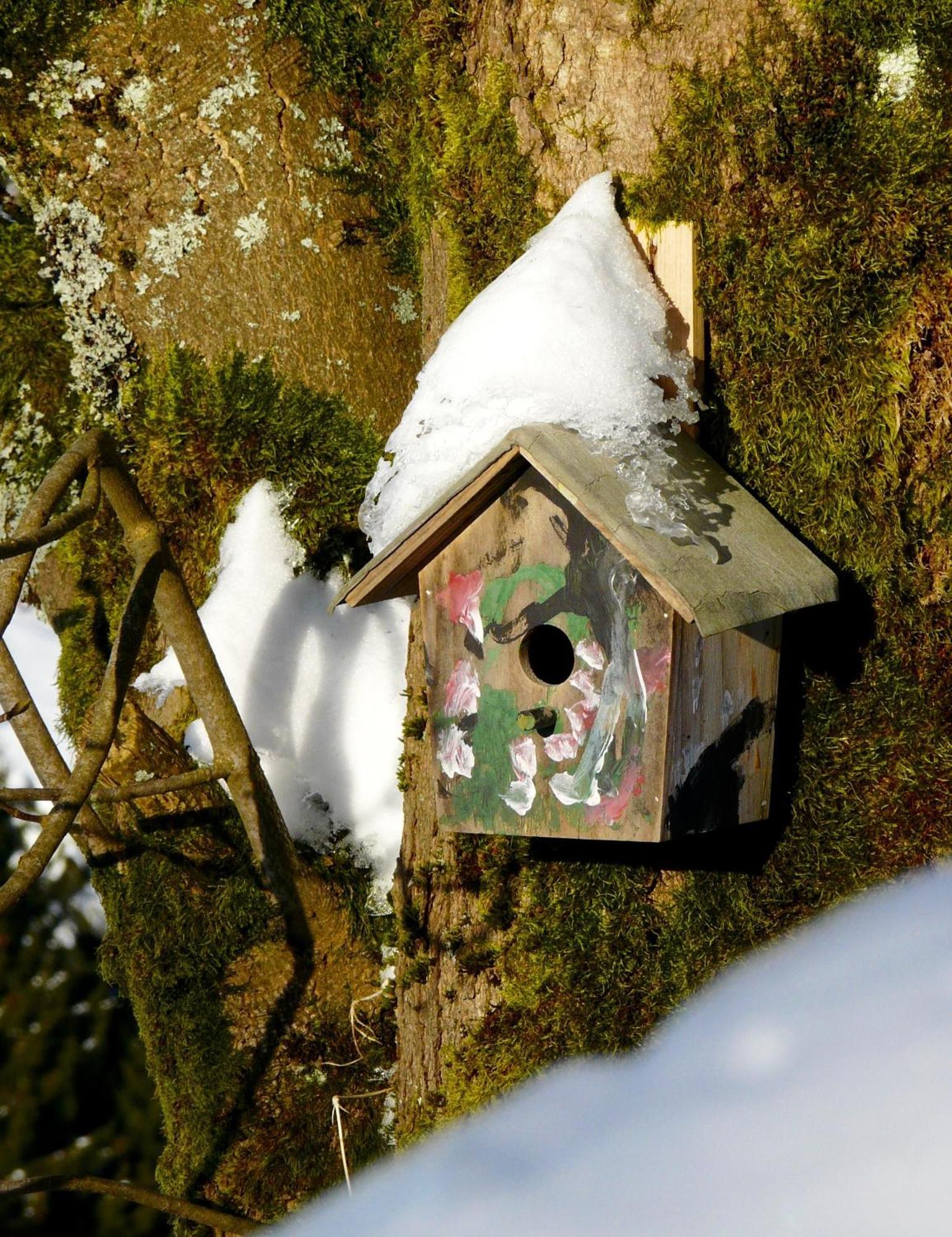 Landfein Big Country House Winterberg Exterior foto